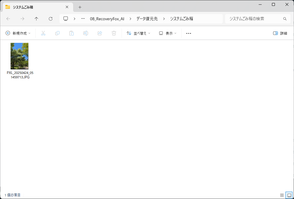 ごみ箱から削除したファイルの復元